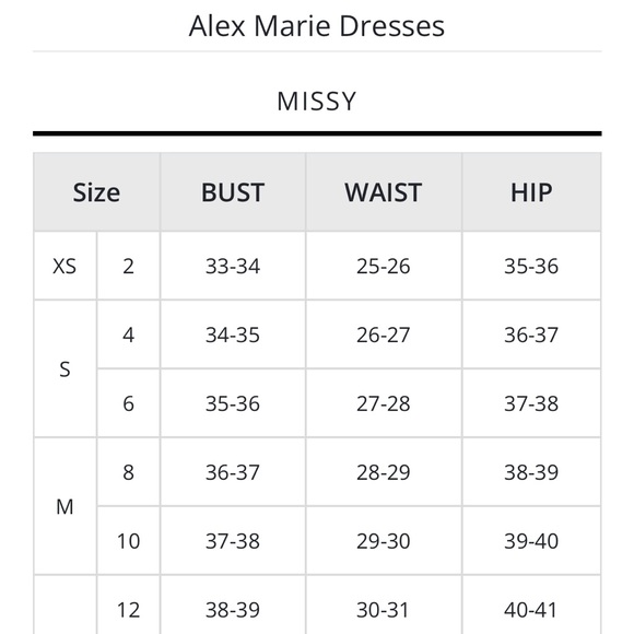 NWT! Alex Marie Black Raspberry Sheath Work/Office Dress - Picture 11 of 11